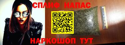 тгк Славянск-на-Кубани