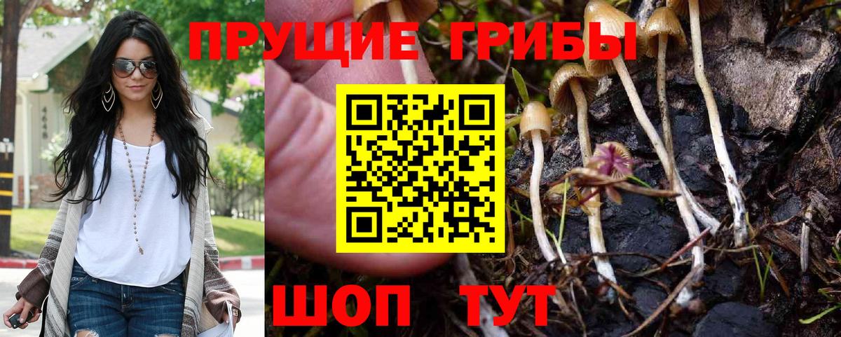 Псилоцибиновые грибы мицелий  Вход с VPN  Петропавловск-Камчатский 