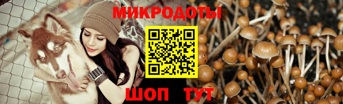 Галлюциногенные грибы MAGIC MUSHROOMS Петропавловск-Камчатский